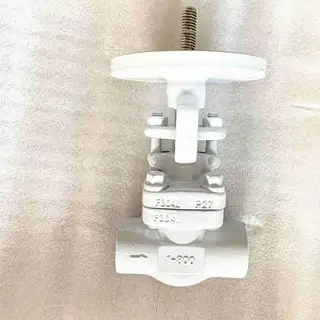 ASTM A182 F304L Bare Shaft Globe Valve, 1 Inch, 800 LB, SW
