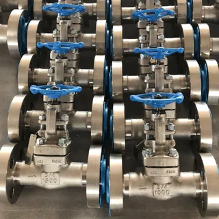 ASTM A182 F304L Globe Valves, API 602, 3/4 Inch, CL 1500 LB