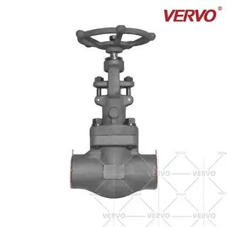Forged Steel Vacuum Globe Valve, 3 Inch, 800 LB, API 602