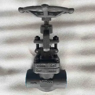 API 602 Globe Valve, A105, Bolted Bonnet, 1-1/4 IN, 800 LB