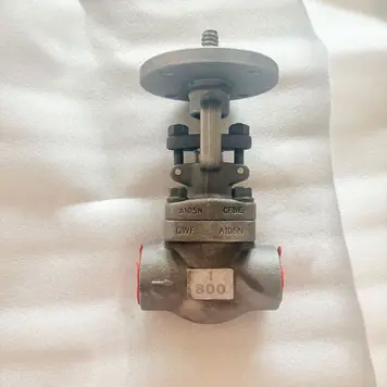 API 602 Globe Valves, ASTM A105N, 1 Inch, CL800 LB, OS&Y, SW