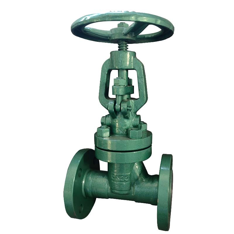Vacuum-isolating Globe Valve, DN25, PN25, WCB, RF