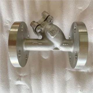 BS EN 12516 Y Strainer, A351 CF8, DN20, PN25, Bolted Bonnet