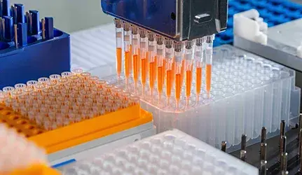 Automated Pipetting Drawing
