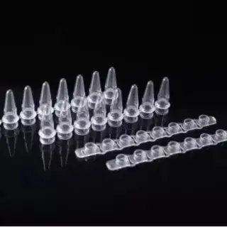 The Principles and Applications of 8-Strip Tube PCR Technology