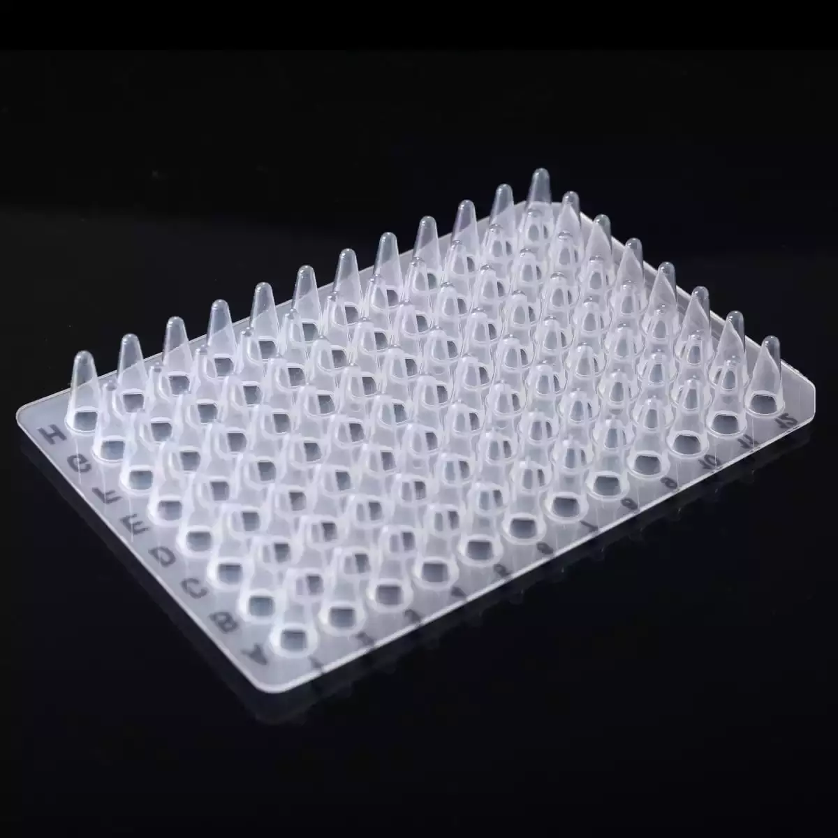 No Skirt PCR Plate