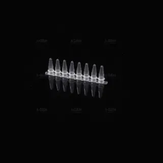 Disposable PP Plastic PCR Tubes, 0.2 ML