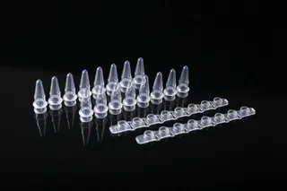 0.2 ml Low Binding PCR Tubes