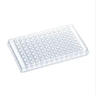 Half Skirted PCR Plate, Transparent, 0.1 mL, Polypropylene
