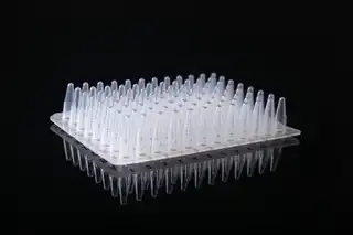 0.2ml PCR Plate, No Skirt