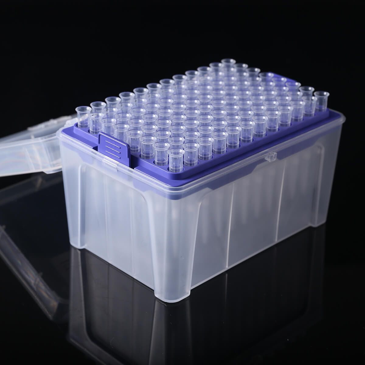 20µl Filter Micropipette Tips, 96/Rack, 10 Racks/Box