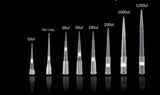 No RNase DNase Sterilized Pipette Tips