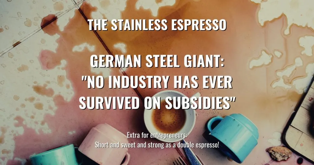 German steel giant: “No industry has ever survived on subsidies”