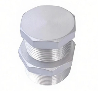 1'' PLUG HEXAGONAL HEAD, NPTM, ASME B16.11, ASTM A105N