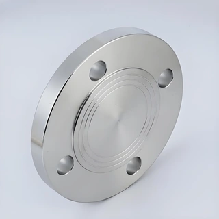 Blind Flange 14