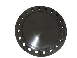 Blind Flange, 24 inch, class600, A105