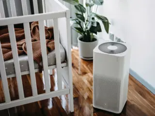 Do Air Purifiers Really Work?