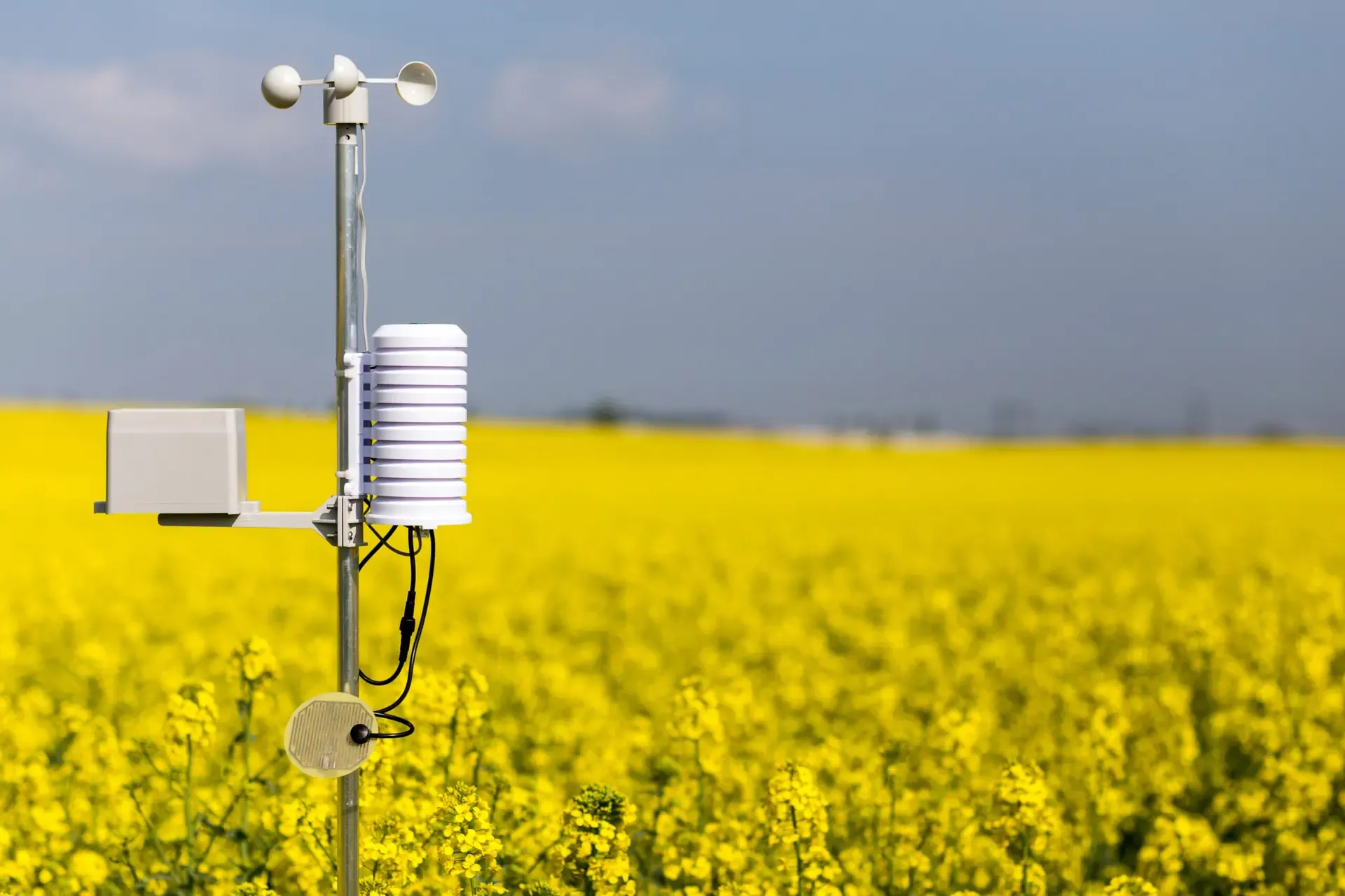 Sensors in Agriculture: Revolutionizing Modern Farming