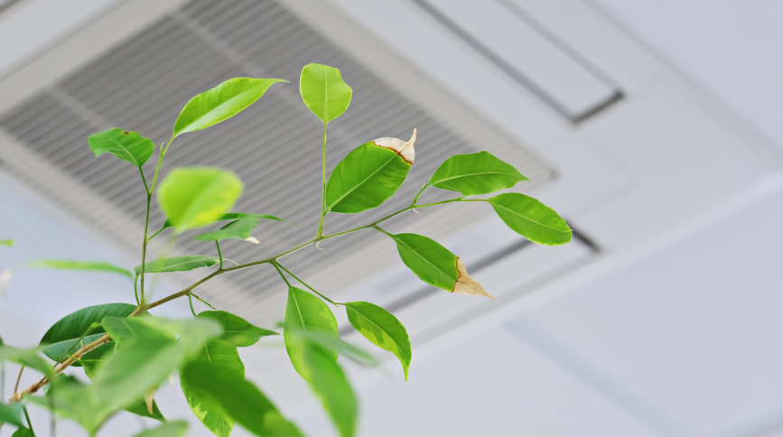 Indoor Air Quality