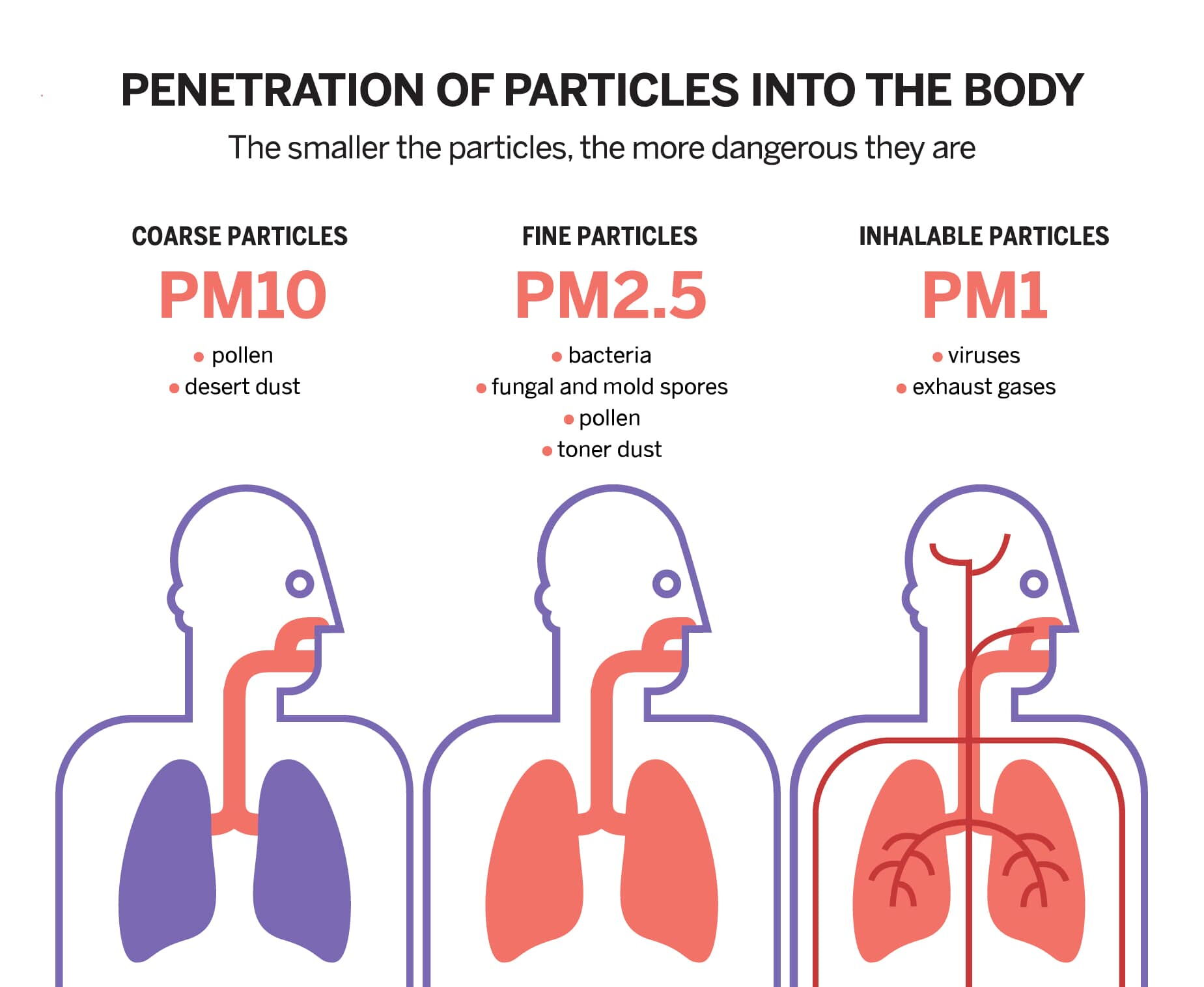 Particulate matter (PM)