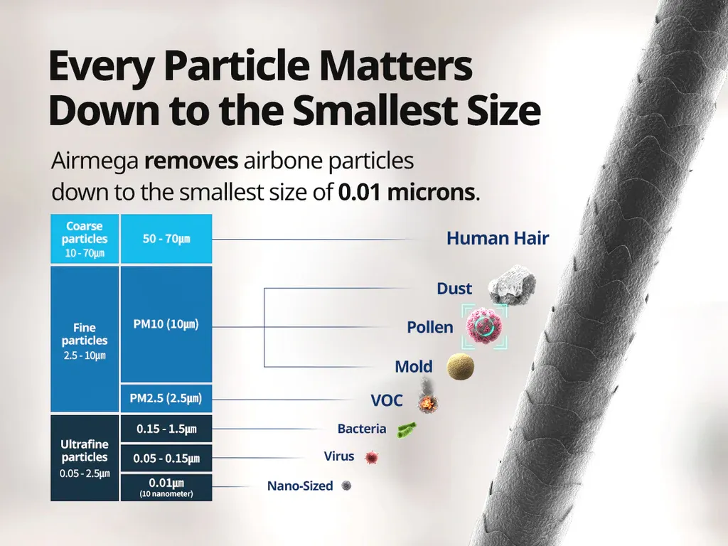 Particulate Matter