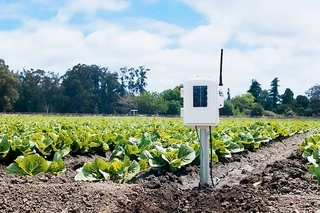Humidity Sensors: Powering Smart Environments and Industrial Innovation