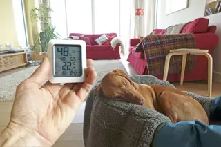 How Indoor Environmental Sensors Improve Health, Comfort, and Energy Efficiency