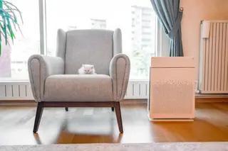 CH2O Sensor – Detecting Formaldehyde to Safeguard Indoor Air Quality