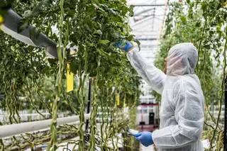The Role of Carbon Dioxide Sensors in Modern Greenhouse Farming