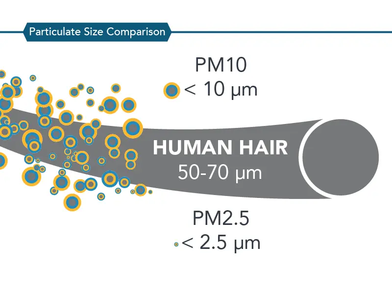 Difference Between PM2.5 and PM10