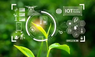 How Smart Sensors Are Transforming Modern Agriculture