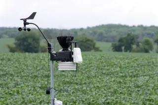 How Agricultural CO₂ Sensors Boost Crop and Livestock Productivity