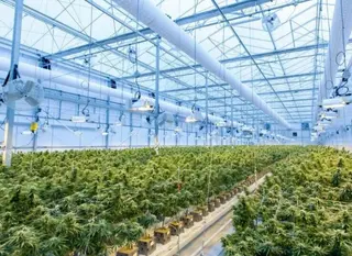 Installation of Agricultural CO₂ Sensors