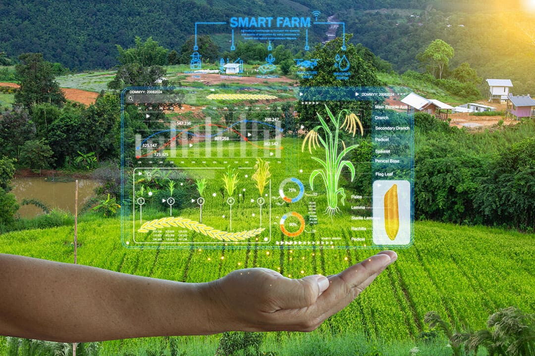 Smart Agricultural Sensors