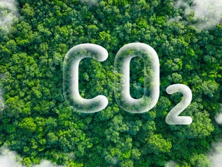 Carbon Dioxide Sensors: Protecting Health and Optimizing Indoor Air Environments