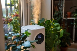 Complete Guide to Humidity Sensors: How They Work and Why You Need Them
