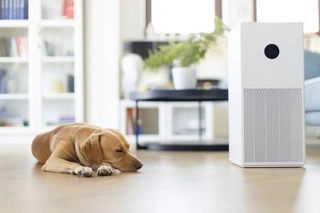 Smart Air Purifier Sensors Driving Efficient Air Quality Control