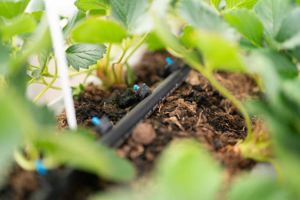 Soil Moisture Sensors