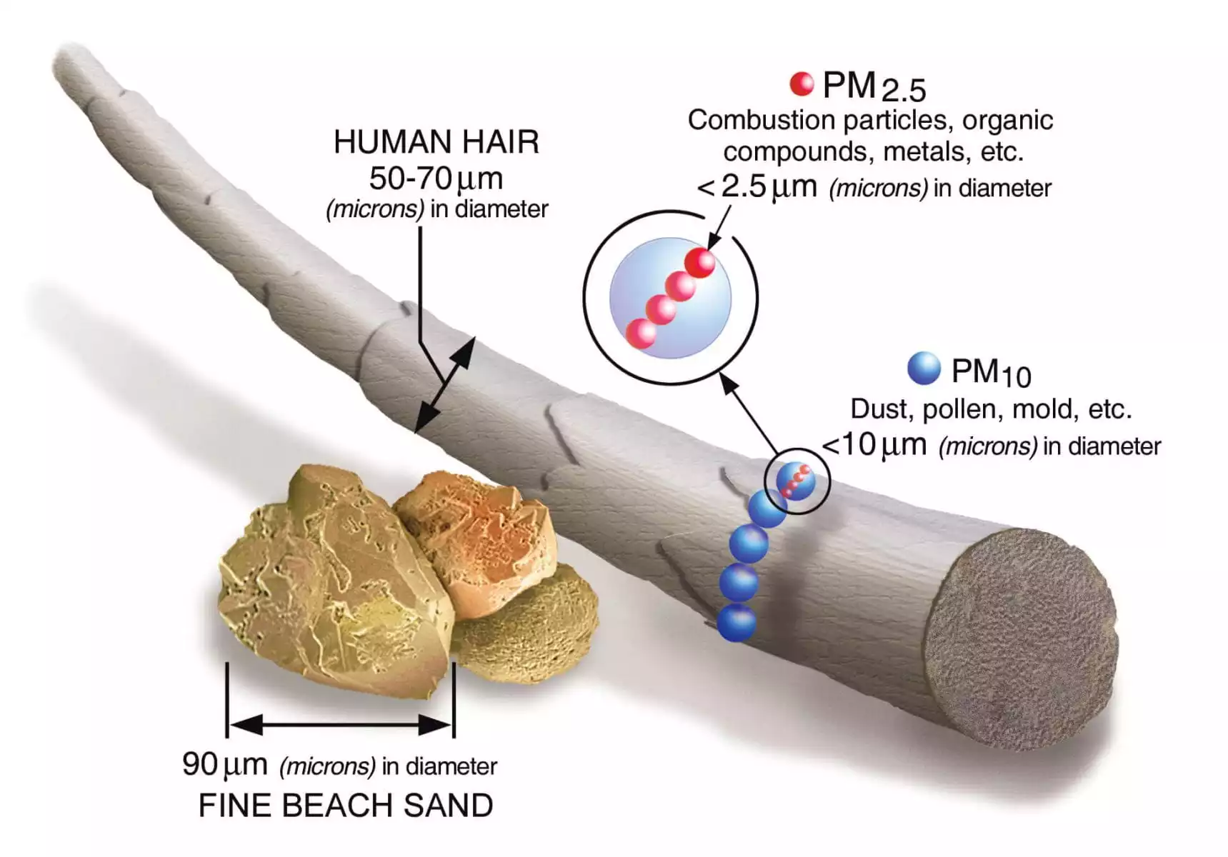 Properties of PM2.5 & PM10