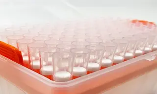 Different Pipette Tips