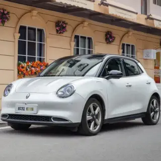 2022 New Energy Ora Good Mini Car with Good Looking Smart EV 400km Cars