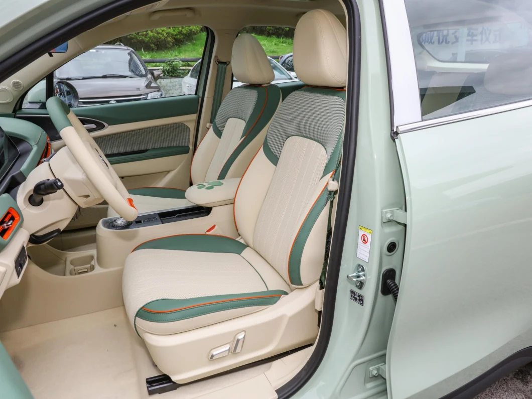 2022 New Energy Ora Good Mini Car with Good Looking Smart EV 400km Cars