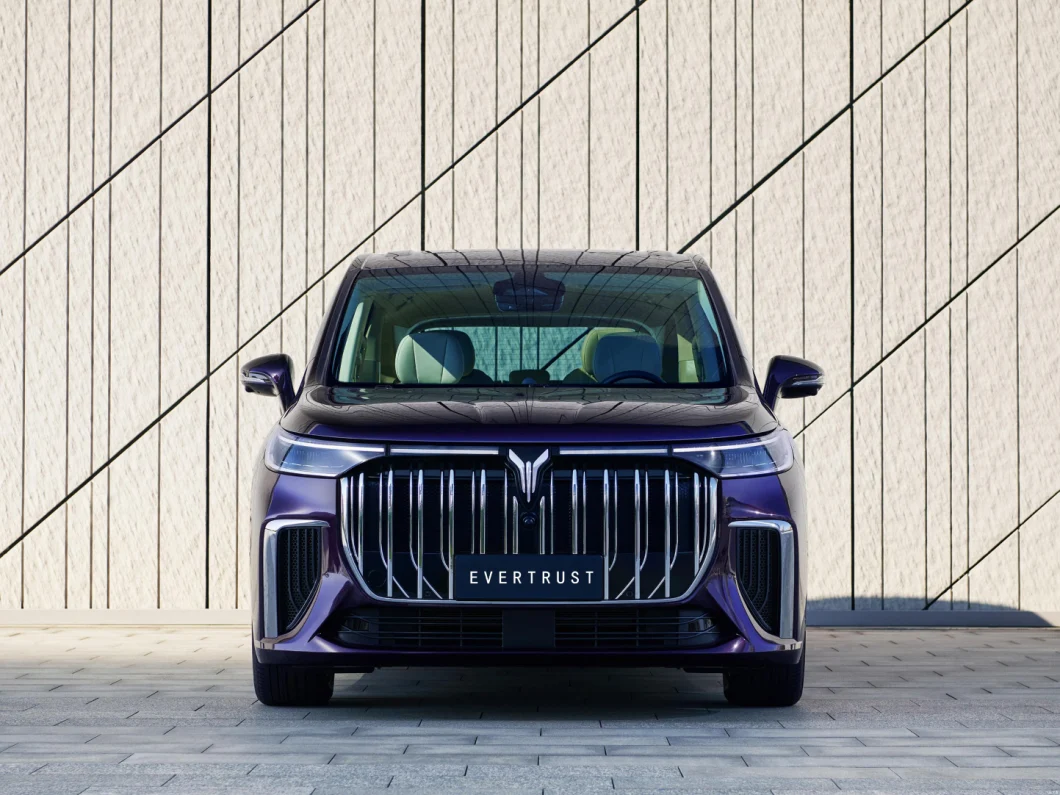 Voyah Dreamer Electric Vehicle Pure Energy Bev MPV Electric Car