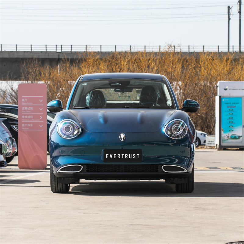 2023 Mini Electric Car Ora Good Cat New Energy Vehicle
