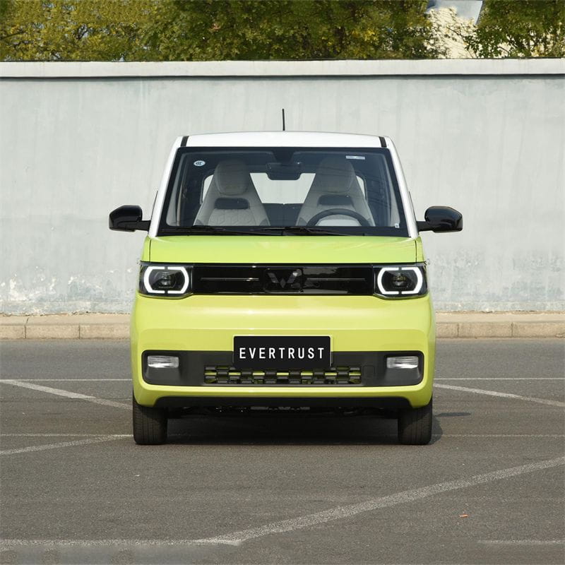 Hot Sale Wuling Hongguang Mini EV 300km Mini Electric Car