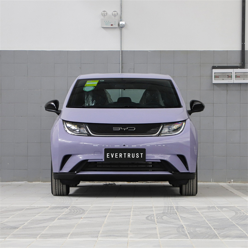 2023 New Energy Byd Mini Haitun Byd Electric Vehicle 401km