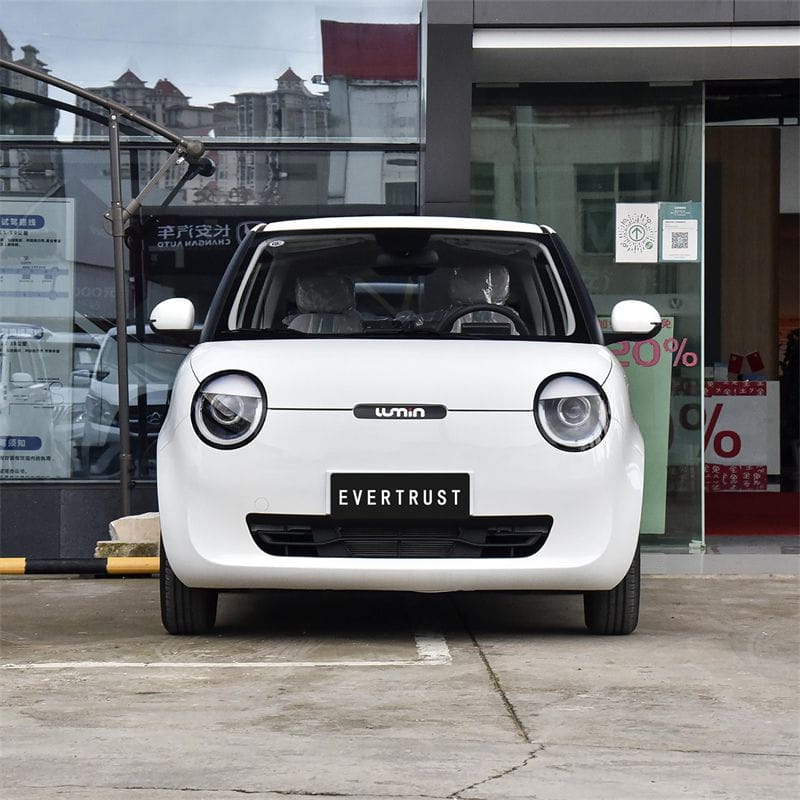 Mini Electric Car Changan Lumin Made in China with Cheap Price Good Quality