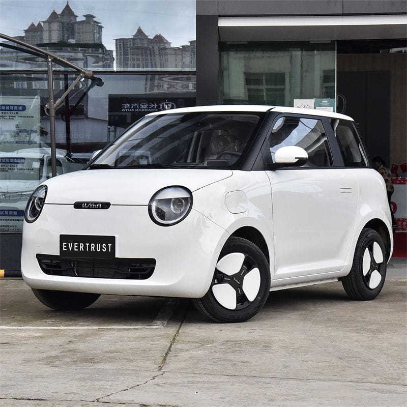 Mini Electric Car Changan Lumin Made in China with Cheap Price Good Quality Mini Electric Car Changan Lumin Made in China with Cheap Price Good Quality