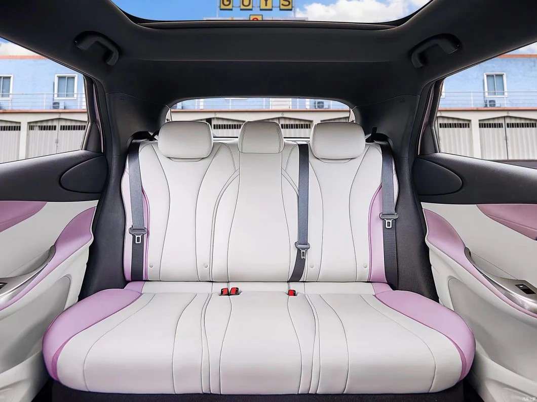 New Energy EV 401 km BYD Mini Electric Car