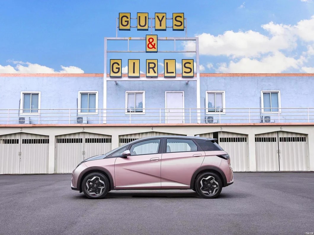 New Energy EV 401 km BYD Mini Electric Car